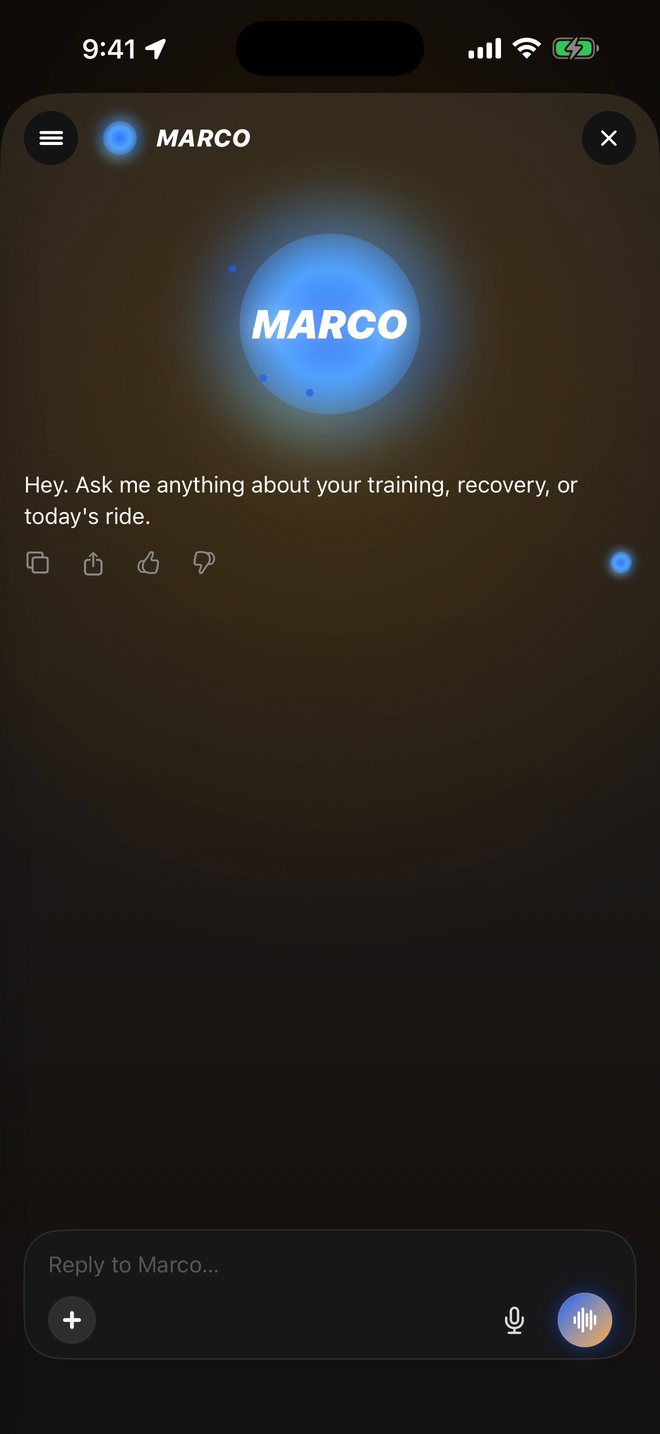 MARCO chat in the THRIVE app